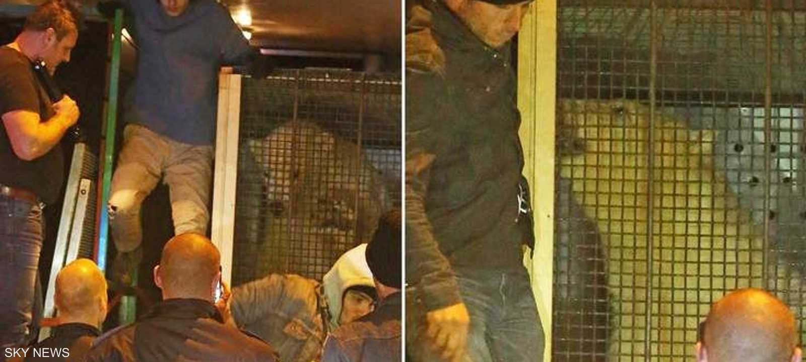 المهاجرين بقوا في العربة لمدة 10 دقائق قبل أن تكتشفه السلطات.