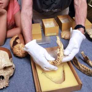 اكتشف علماء  أنسان تعود للإنسان الأول في كهف يقع جنوب الصين