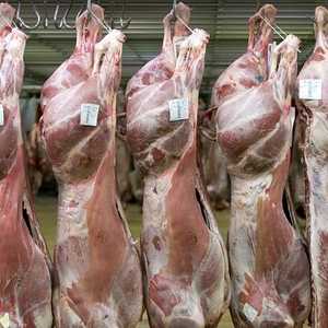 شركات اللحوم رفض التحذير من أكل اللحوم المصنعة