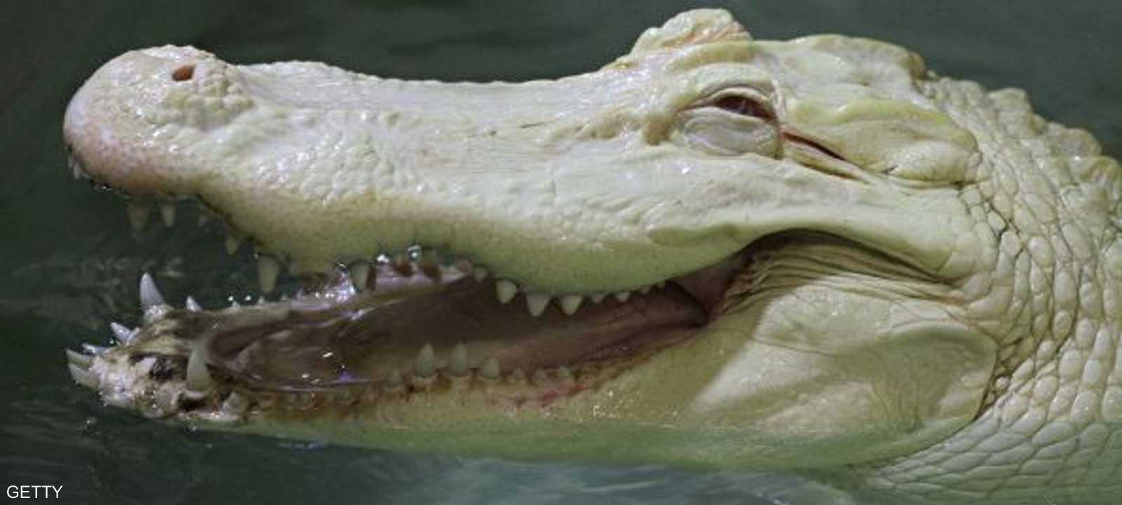 إندونيسيا تفرض عقوبات مشددة على مهربي المخدرات