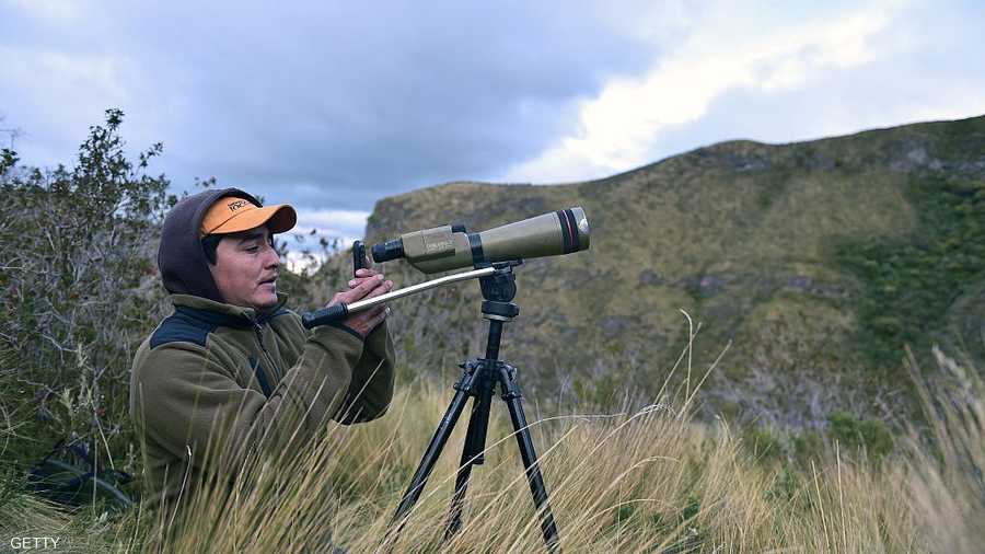 مراقبة حركة النسور الذهبية في جبل الإنديز ضمن خطة لإنقاذ الطائر المهدد بالانقراض