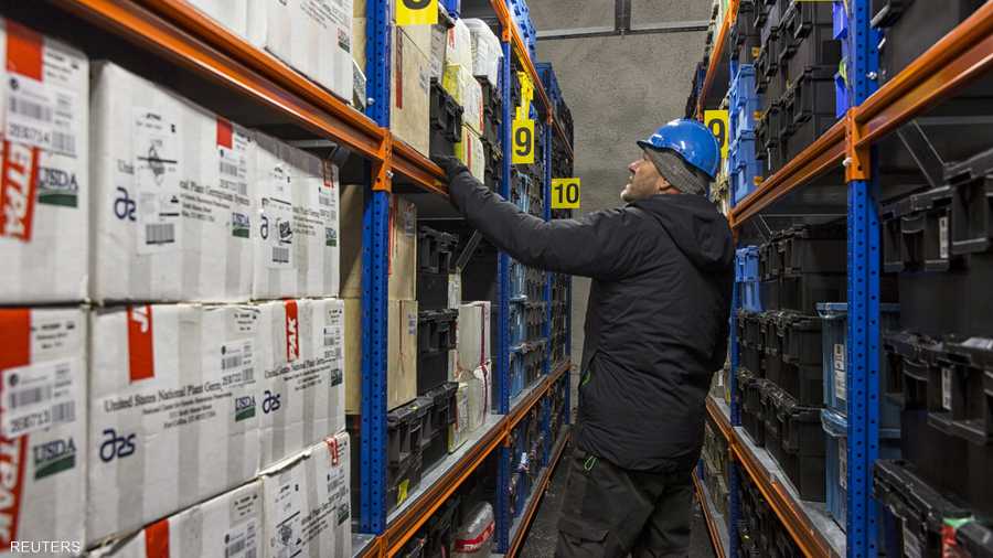 أحد الموظفين في قبو الحبوب أثناء عملية تحقق وتفتيش