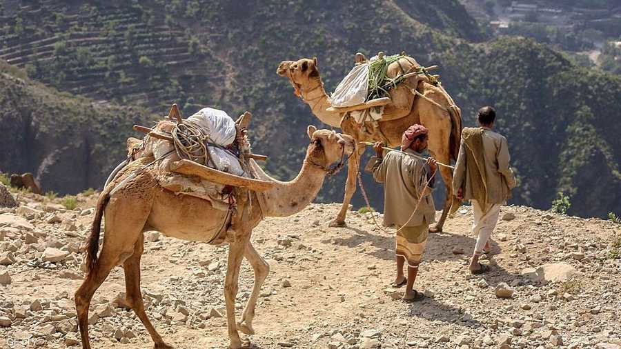 تستلزم عملية نقل المساعدات على ظهور الحمير والجمال وقتا وجهدا