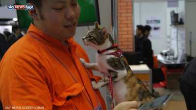 جهاز ياباني يحلل مشاعر الحيوانات