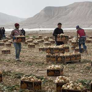 عمال فلسطينيون في الضفة الغربية (أرشيف)