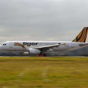 طائرة تابعة لشركة تايغر