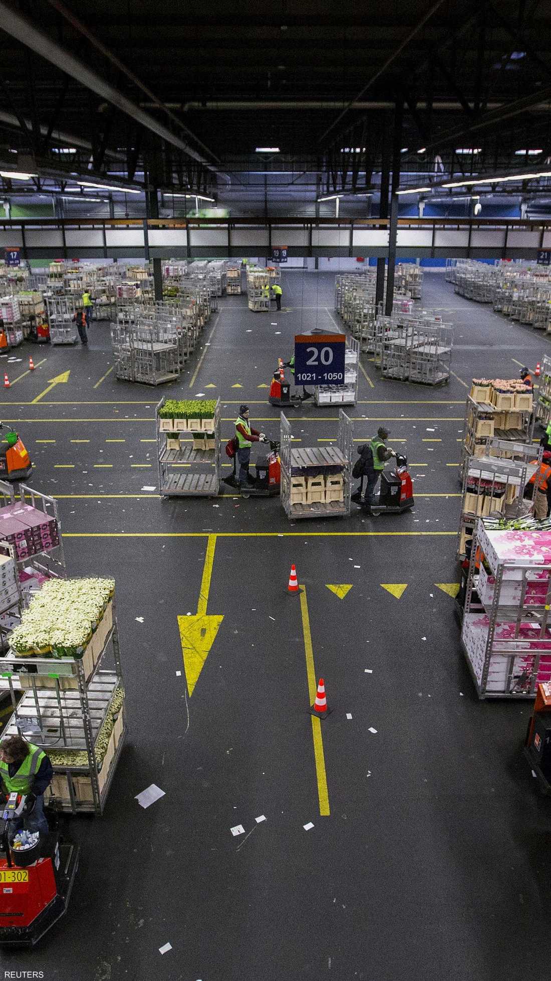 مساحة مستودعات الورورد قرب العاصمة أمستردام توازي 400 ملعب كرة قدم