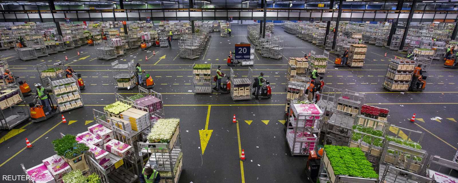 مساحة مستودعات الورورد قرب العاصمة أمستردام توازي 400 ملعب كرة قدم