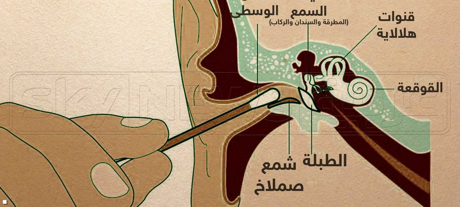 إدخال عود القطن داخل الأذن