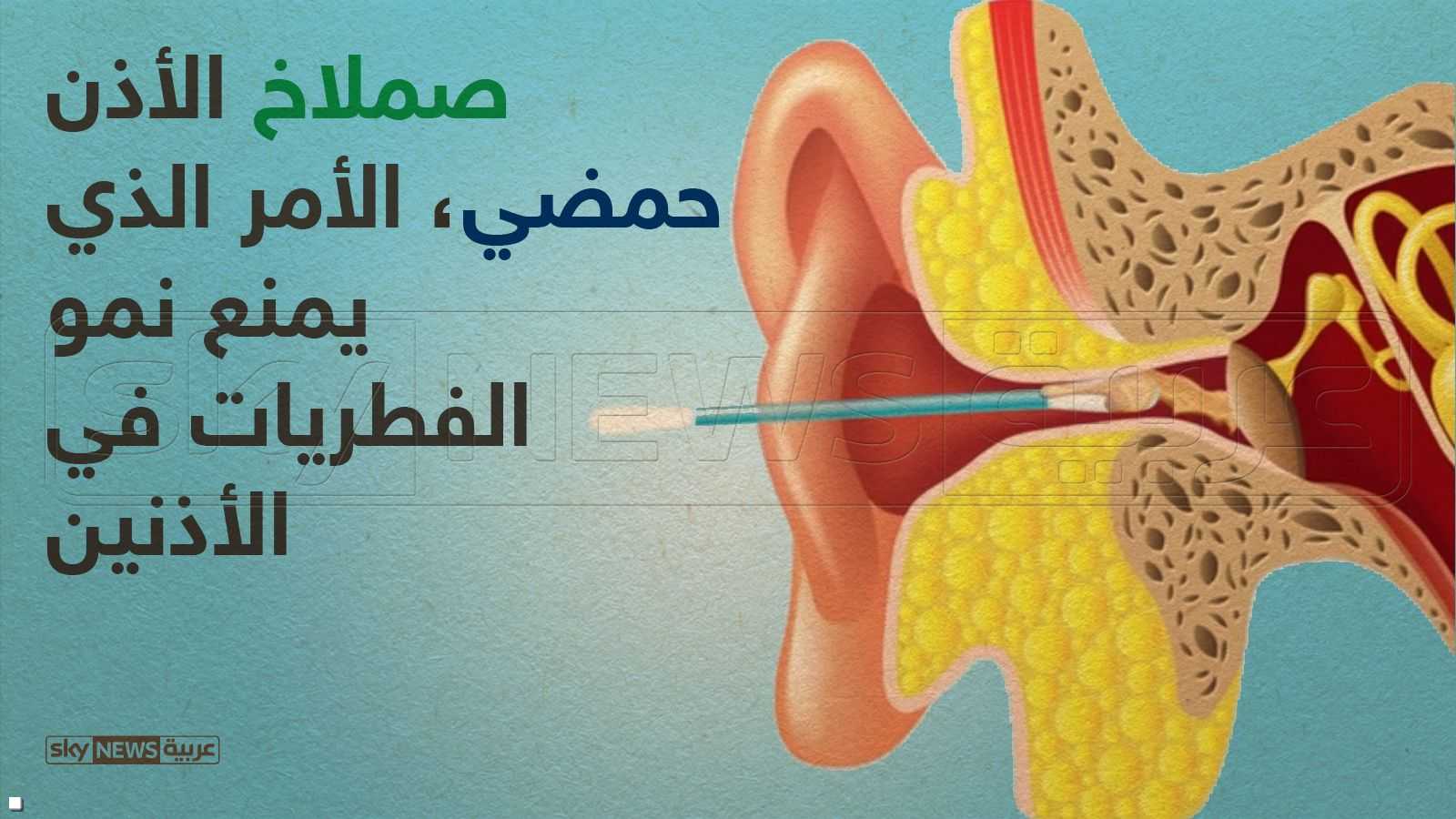 يمنع نمو الفطريات