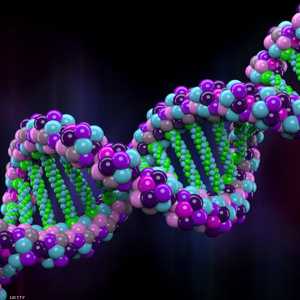 تقنية اللقاح الجديدة ستساعد محاربة السرطان