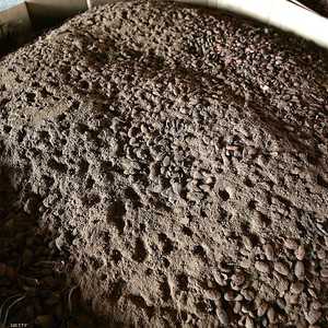 بودرة الكاكاو