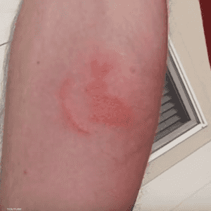 وشم على هيئة أرنب