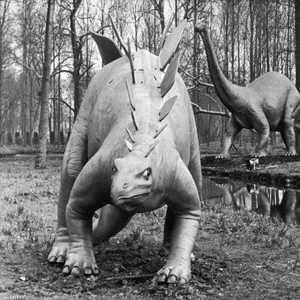 انقرضت الديناصورات قبل 66 مليون عاما، بسب كويكب ارتطم بحقل للنفط.