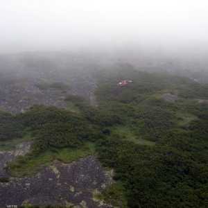 طائرة تحطمت في ألاسكا عام 2010.