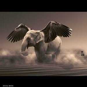 صورة ساخرة نشرتها صفحة عراقية على فيسبوك ردا على تصريحات وزير النقل