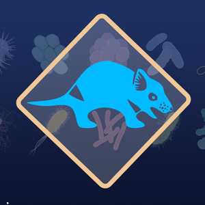 شيطان تسمانيا