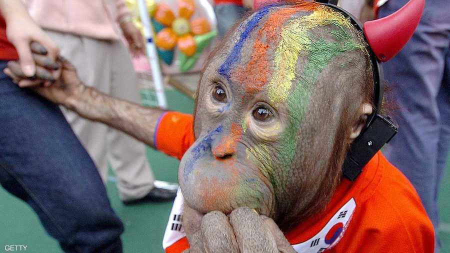 يستعد لتشجيع فريقه المفضل