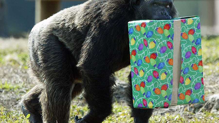 حان وقت الهدايا