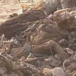 العثور على مقبرة جماعية جنوبي الموصل