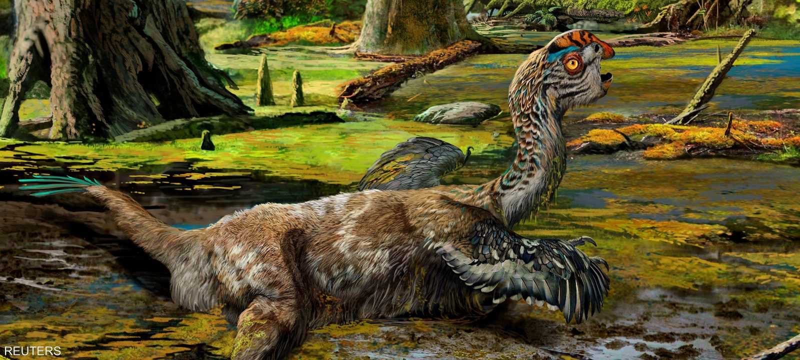 صورة انطباعية عن شكل الديناصور