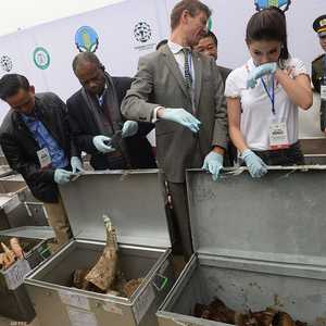 قيمة المواد المصادرة تتجاوز قيمتها 7 مليارات دولار