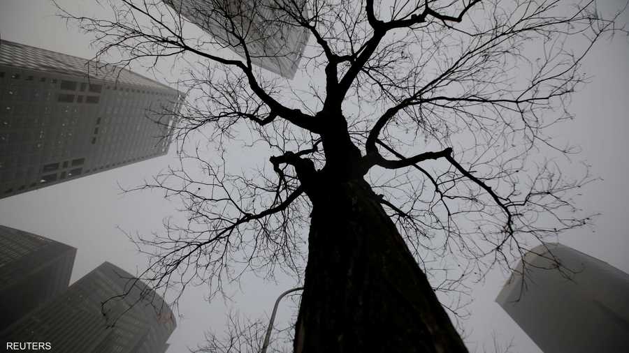 أعلنت 24 مدينة صينية تحذيرات من اللون الأحمر لمواجهة الضباب الدخاني