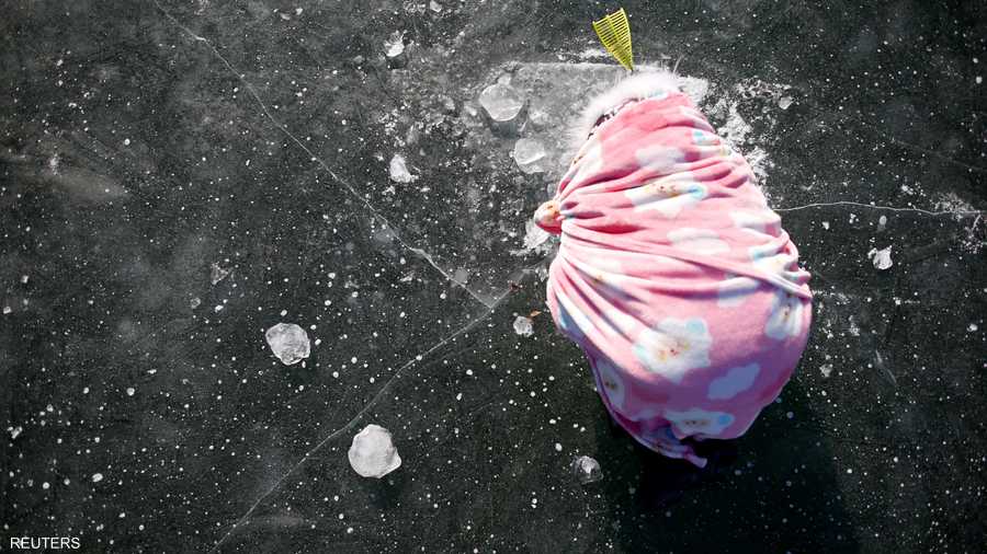 طفلة كورية جنوبية تفتح ثقبا في النهر بحثا عن سمك السلمون