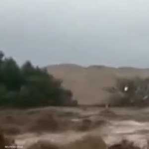 سيول في بيرو