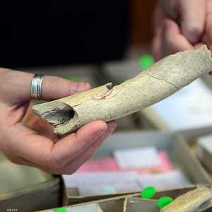 حدث الانقراض الجماعي في العصر البرمي قبل نحم 252 عاما.