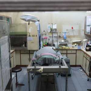 نفوق "السلحفاة الحصالة"