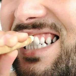 الأنياب ليست لتمزيق اللحم