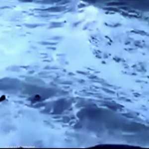 "سيلفي" يغرق سائحين في البرازيل