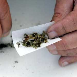 القانون الاتحادي الأميركي يمنع الماريوانا