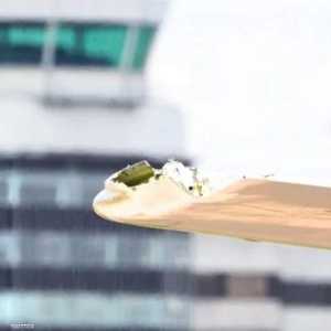 جناح الطائرة المكسور بعد الهبوط