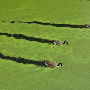 الوقود يقلل التلوث بخفض الانبعاثات