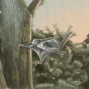 الحفريات تعود إلى 160 مليون عام