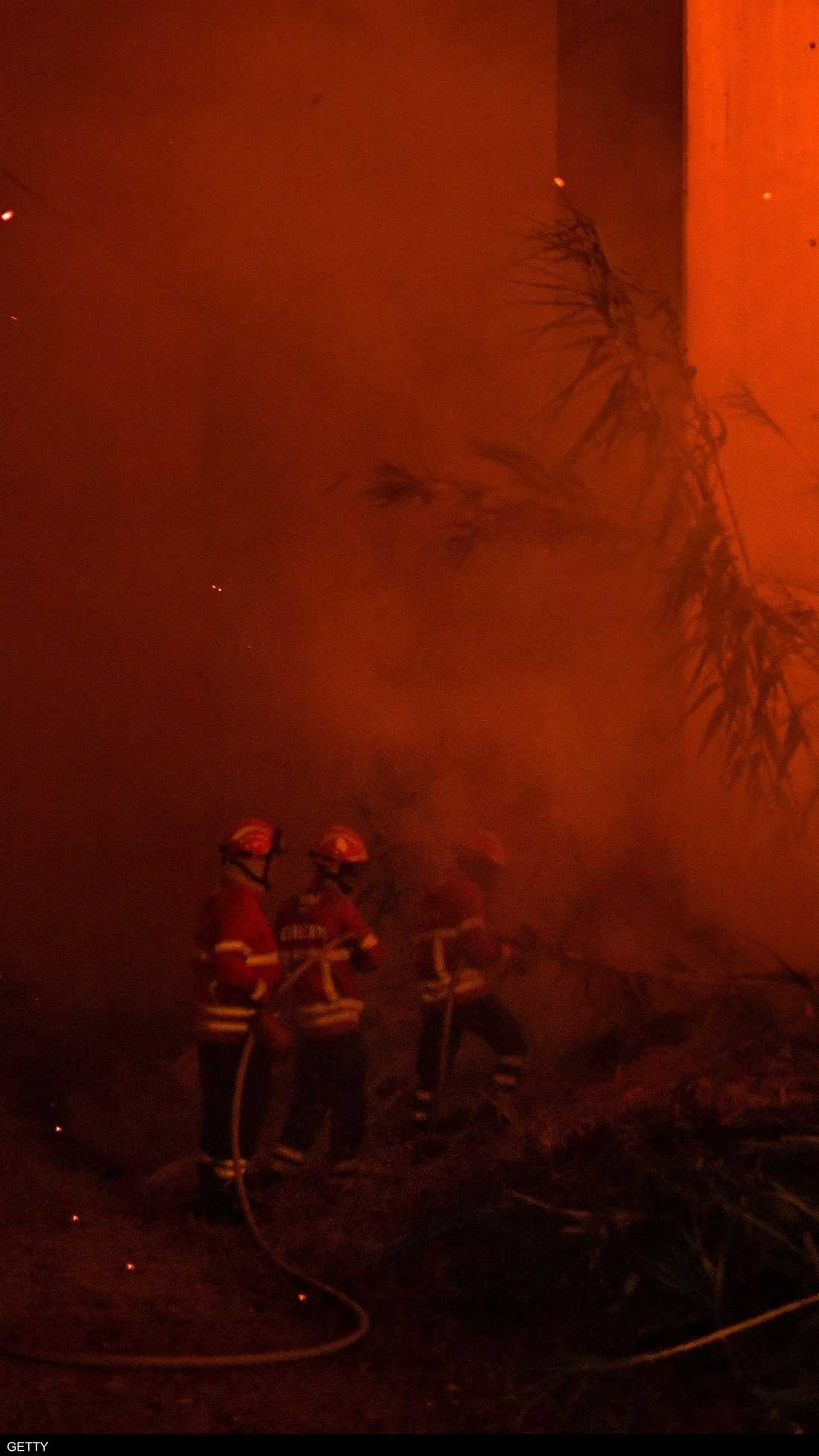 الحرائق أتت على مساحات كبيرة من الغابات
