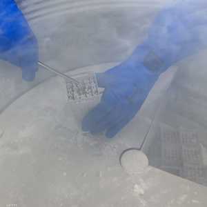 يسمح القانون الهولندي للمتبرعين أن يكونوا آباء لـ25 طفلا فقط