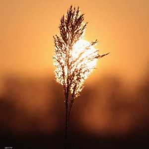 عادات الصباح الصحية تجعل يومك أفضل