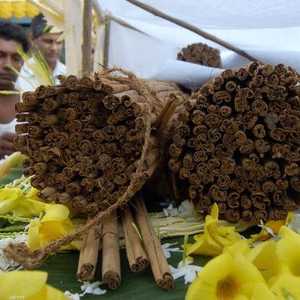 القرفة استخدمت قديما في الطب