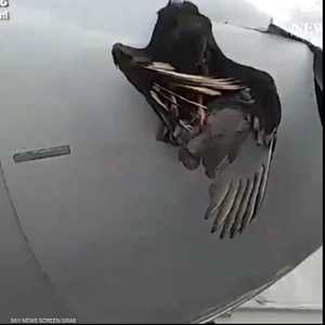 راكب غير مرغوب فيه بطائرة أميركية