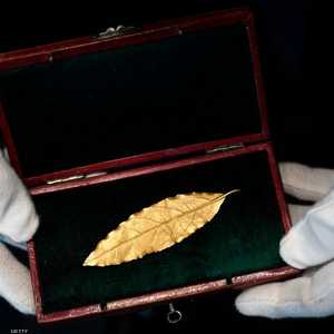 ورقة غار ذهبية صنعت لتاج نابليون