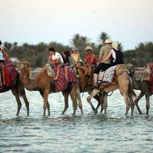 سياح أجانب في جزيرة جربة