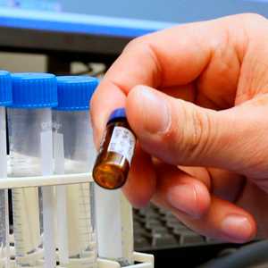 الدواء الجديد نجح في أول اختبار على البشر