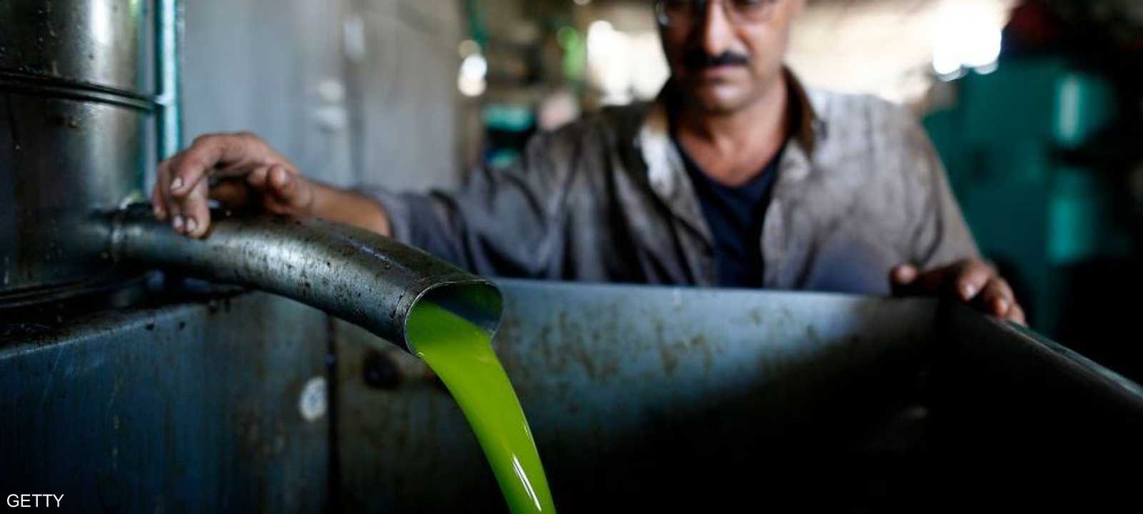 زيت الزيتون من أبرز الصادرات الفلسطينية إلى العالم