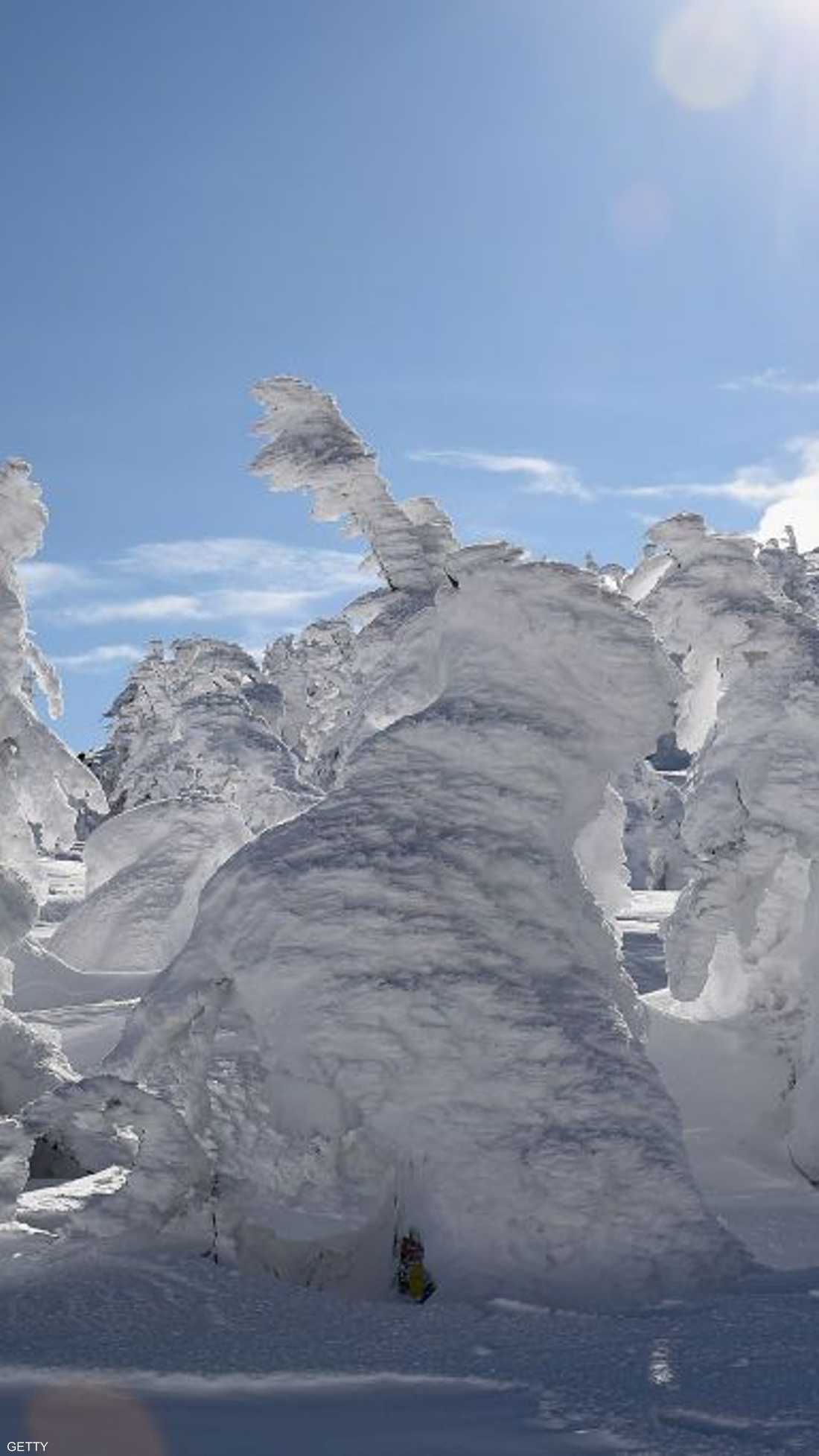 "وحوش الثلج" تظهر في منتجع زاو للتزلج في اليابان