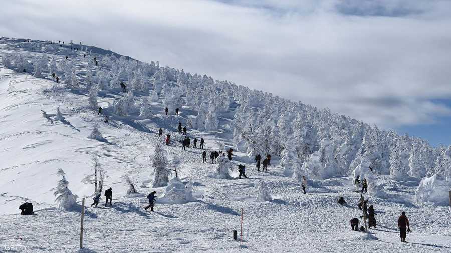 ظاهرة وحوش الثلج تستقطب السياح من مختلف أنحاء العالم
