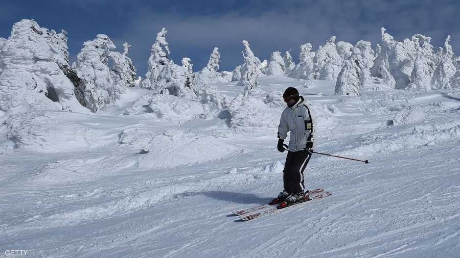 متعة خاصة للتزلج بين الأشجار الجليدية