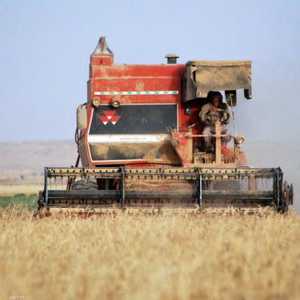 العراق يلجأ إلى حلول خارجية بشأن القمح